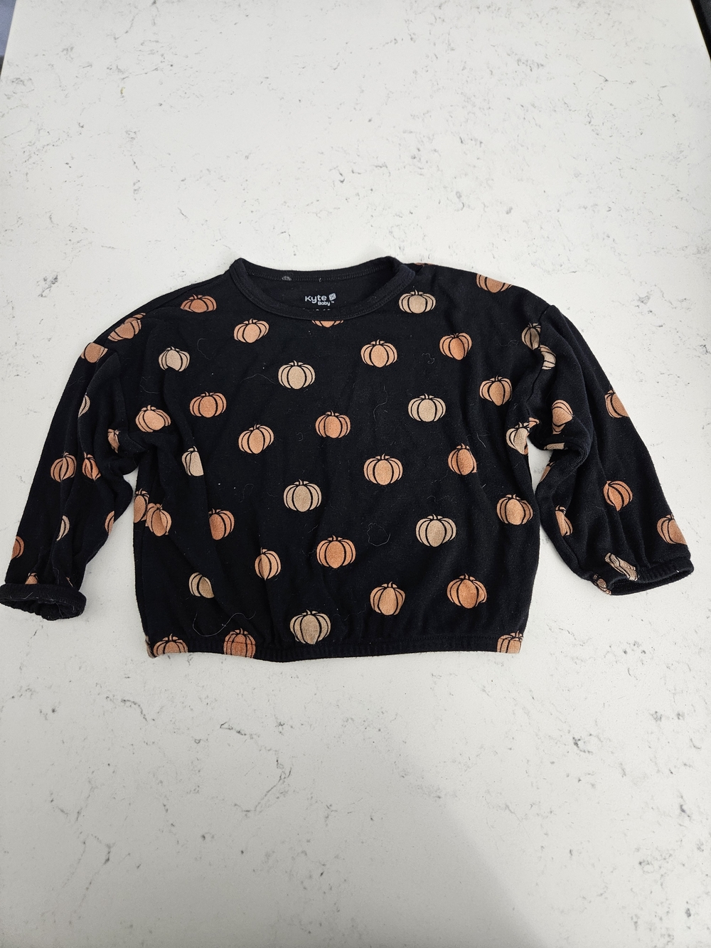 Kyte BABY Black Pumpkin Print Cropped Sweat Tee